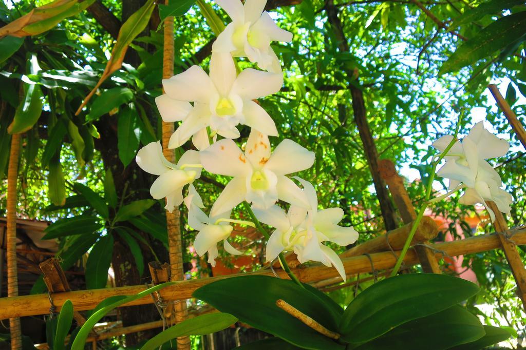 Kampot Guesthouse מראה חיצוני תמונה