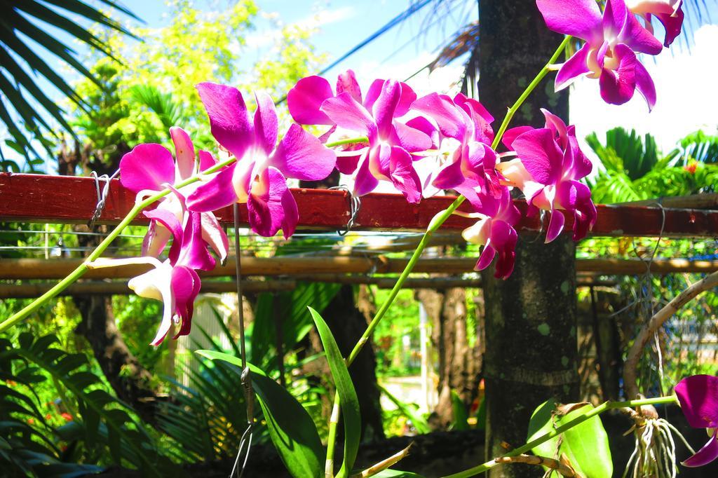 Kampot Guesthouse מראה חיצוני תמונה